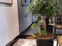 -享月汤皇(高新区店)