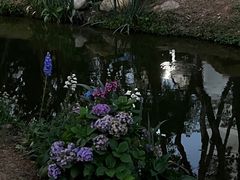 -人民公园(罗湖区)