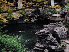 -新荣记(西溪湿地店)