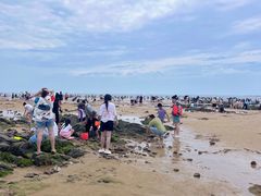 -巧克力渔家.小船海鲜胶东菜(万平口店)