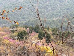 -北京西山国家森林公园