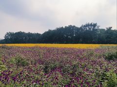 -江苏三台山国家森林公园