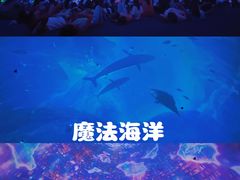 -海合安天津极地海洋公园