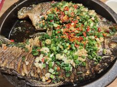 -聚鑫朋酸菜肥肠(文艺路口店)