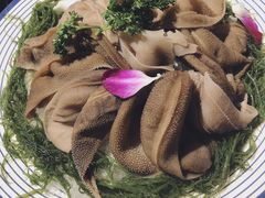 羊毛肚-一斗火锅·招财羊毛肚(泰吉滨江店)