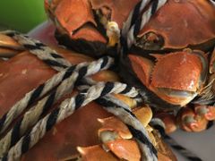 -乡乐园蟹庄·阳澄湖农家乐