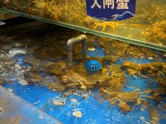 -亚马逊蒸汽活海鲜自助(LCM置汇旭辉广场店)