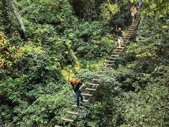 -西双版纳原始森林公园