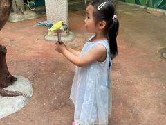 -正佳雨林生态植物园