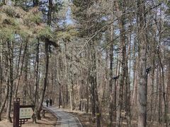 -帽儿山国家森林公园