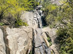 -王顺山国家森林公园
