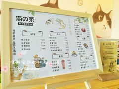 菜单-猫的茶·猫咖