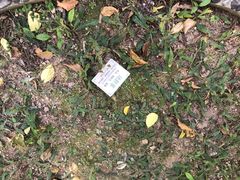 -广州神农草堂中医药博物馆