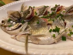 -桐庐窄溪野鱼馆