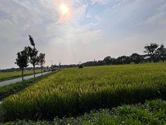 -嘉北郊野公园