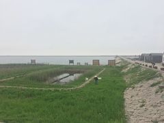 -碧海金沙