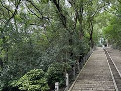 -上海佘山国家森林公园西佘山园