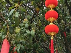 -福州开元寺