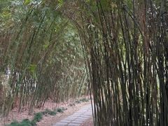 -苏州河梦清园环保主题公园