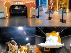 -厦门诚毅自然探索馆