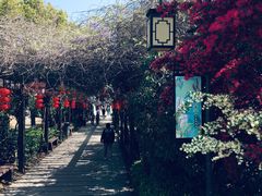 -白马涧龙池景区