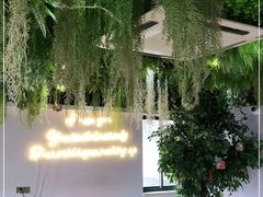 -Husky Go! 哈士奇体验馆·宠物咖啡厅狗咖