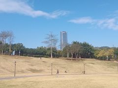-深圳湾公园(南山区)