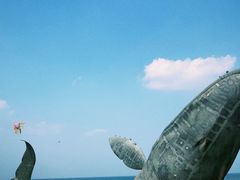 -烟台金沙滩海滨公园