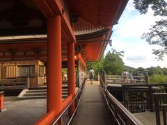 -有栖山 清光院 清水寺