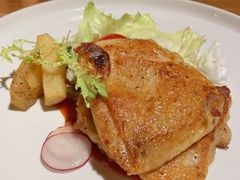 -more than meow吴止猫主题餐厅(承德 中船汇店)