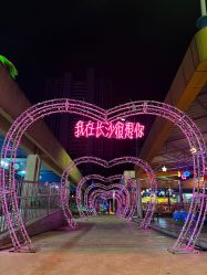 -长沙云顶星河游乐园(步步高·梅溪新天地店)