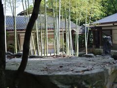 -南山植物园