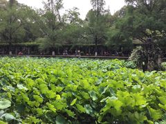 -四川大学(华西校区)