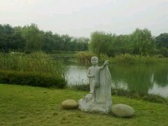 -昆山城市生态森林公园