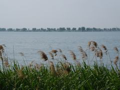 -漕湖湿地公园