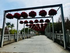 -厦门园林博览苑