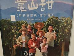 -野人先生Gelato(上海长宁龙之梦店)