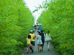 -武汉紫薇都市田园