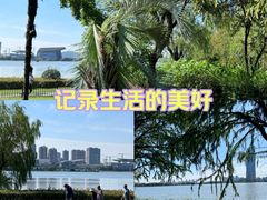 -高子水居