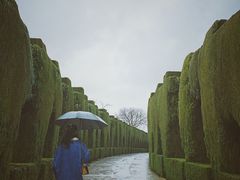 -阿尔罕布拉宫