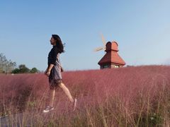 -杭州湾海上花田景区