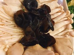 -食潮汕头鲜牛馆(望京保利店)