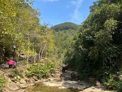 -广州白江湖森林公园