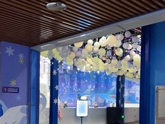 -西安银基冰雪世界