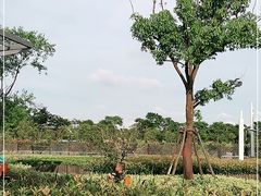 -季高兔窝窝亲子园(上海薰衣草公园店)