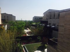 -上海崇明金茂凯悦酒店