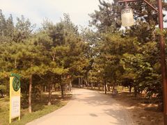 -古塔公园