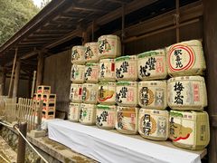 -奈良公园