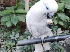 -南宫五洲植物乐园