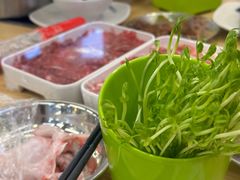 -杨老板·海鲜集市火锅·鲜切牛肉(中防万宝店)